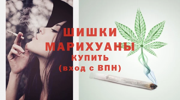 дживик Медвежьегорск