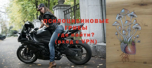 дживик Медногорск