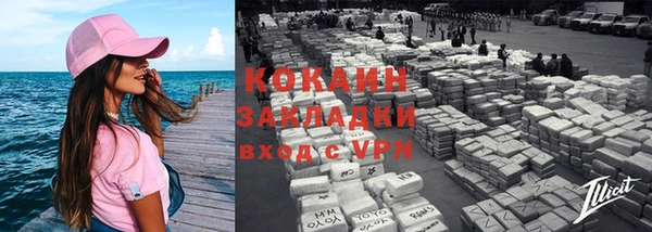 дживик Майский