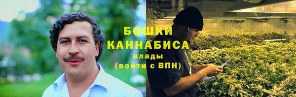 дживик Майский