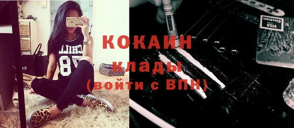 дживик Майский