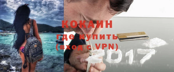дживик Майский