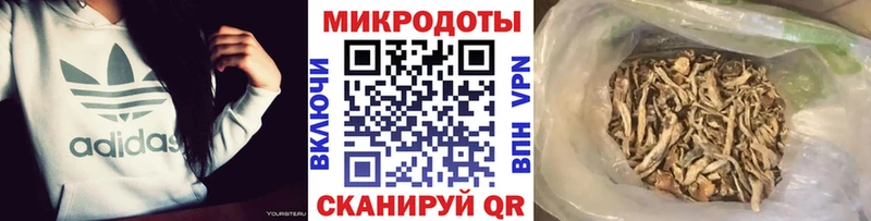 Галлюциногенные грибы Cubensis Чердынь